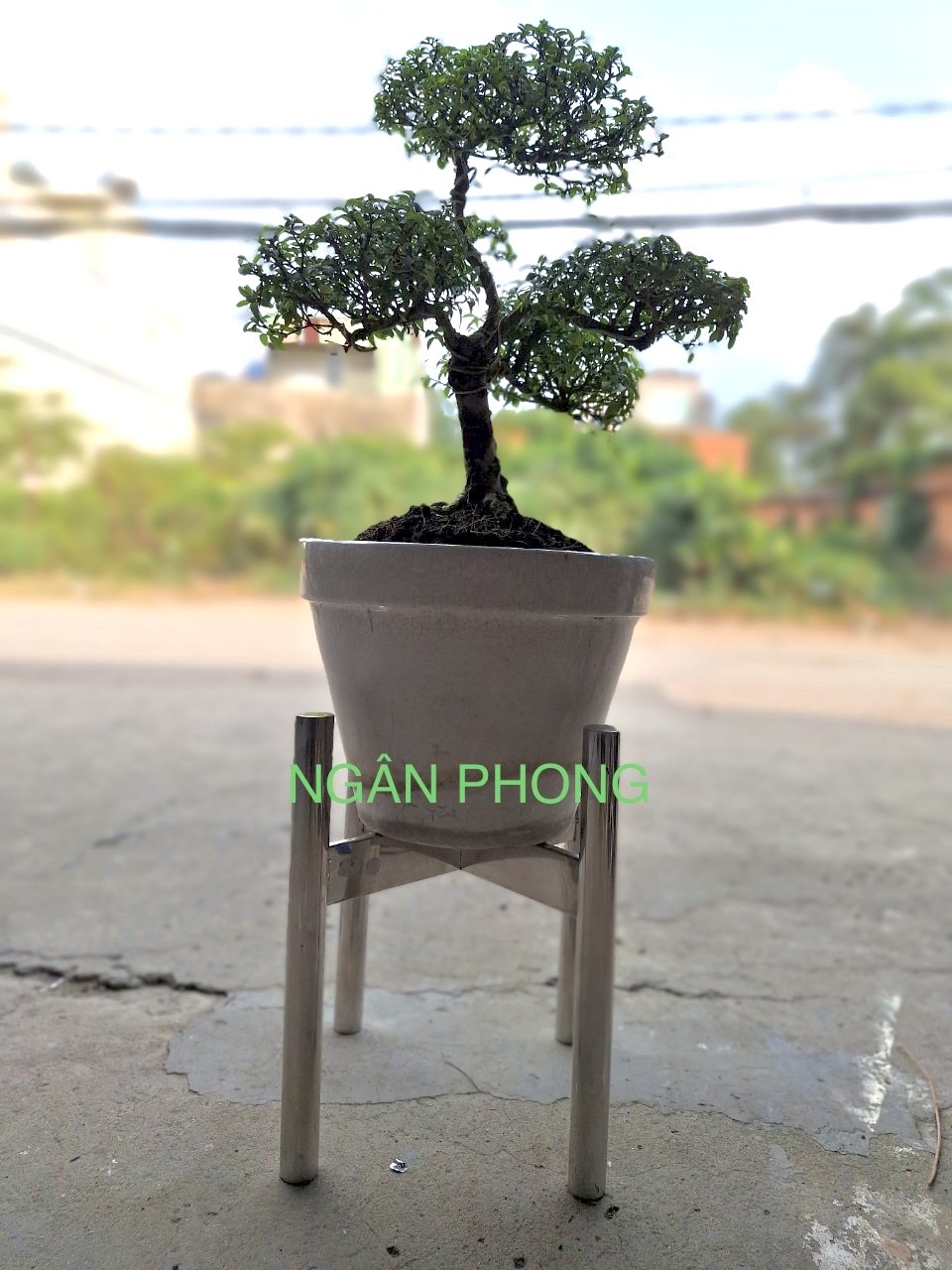 Chân đế chậu hoa inox 304