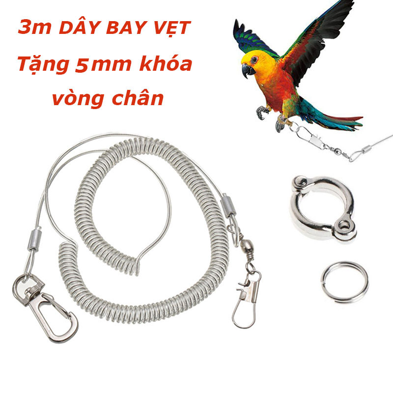 Dây xích chân chim vẹt/dây xoắn chống cắn lõi thép tập chim vẹt bền bỉ chất lượng cao