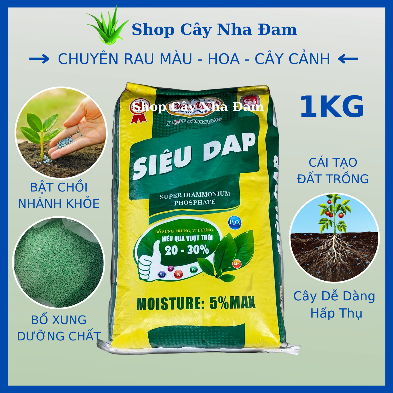 Phân bón dap cao cấp cho mọi cây trồng và hoa kiểng
