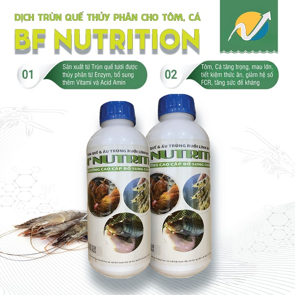 DUNG DỊCH RUỒI LÍNH ĐEN VÀ TRÙN QUẾ THỦY PHÂN - 2 CHAI 1LIT