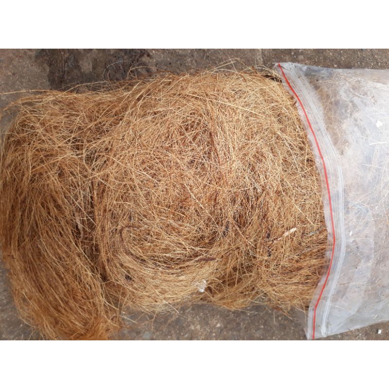 1Kg Chỉ xơ Dừa Che Phủ Chậu Cây ,Rau ,Hoa thay Rơm Chăm sóc cây trồng làm vườn, chỉ xơ dừa trồng lan