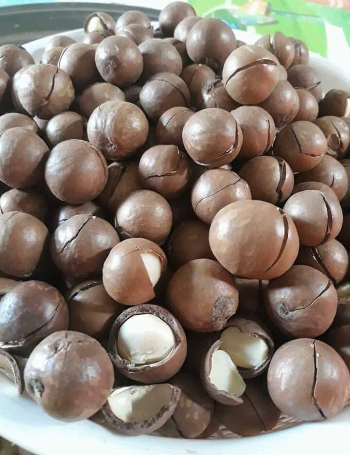 Hạt macca nứt vỏ An Nhiên gói 250gr