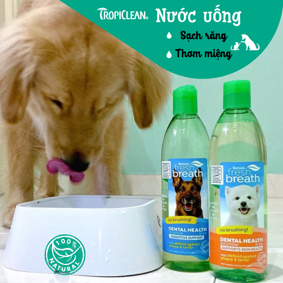 NƯỚC VỆ SINH RĂNG MIỆNG TROPICLEAN CHO CHÓ, MÈO