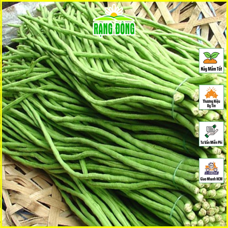 Hạt giống Đậu Đũa Ngọt Trồng Quanh Năm, Cây Sinh Trưởng Khỏe (gói 20 gram) - Hạt giống Rạng Đông