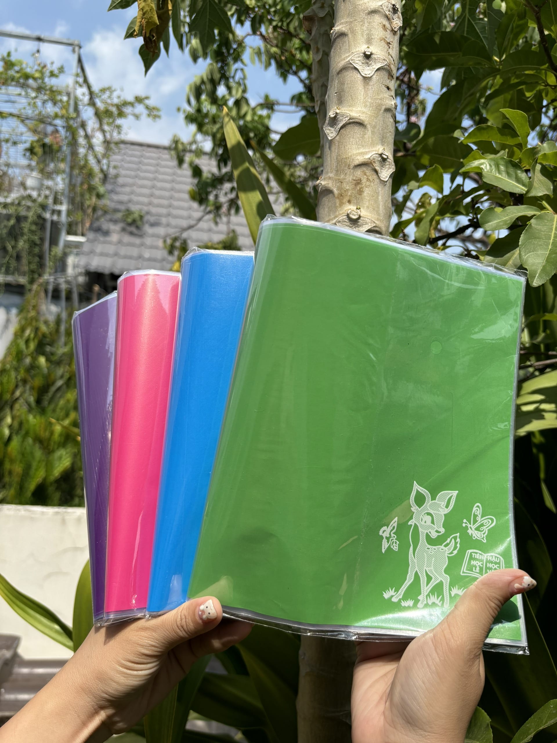 COMBO 10 tờ bao tập nilon giấy màu thủ công (15.5x20.5cm)