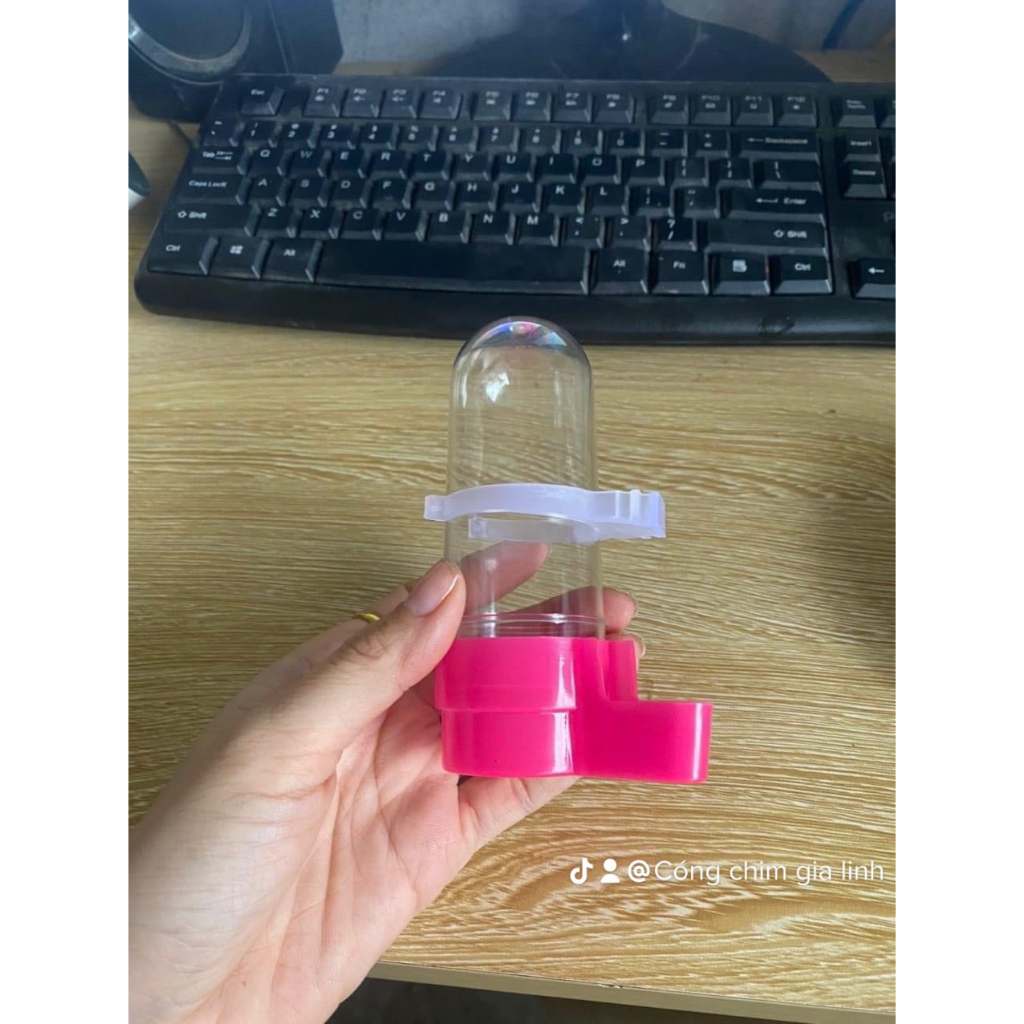 Bình uống nước tự động, cóng uống nước Mica, phụ kiện lắp lồng chào mào, chích chòe