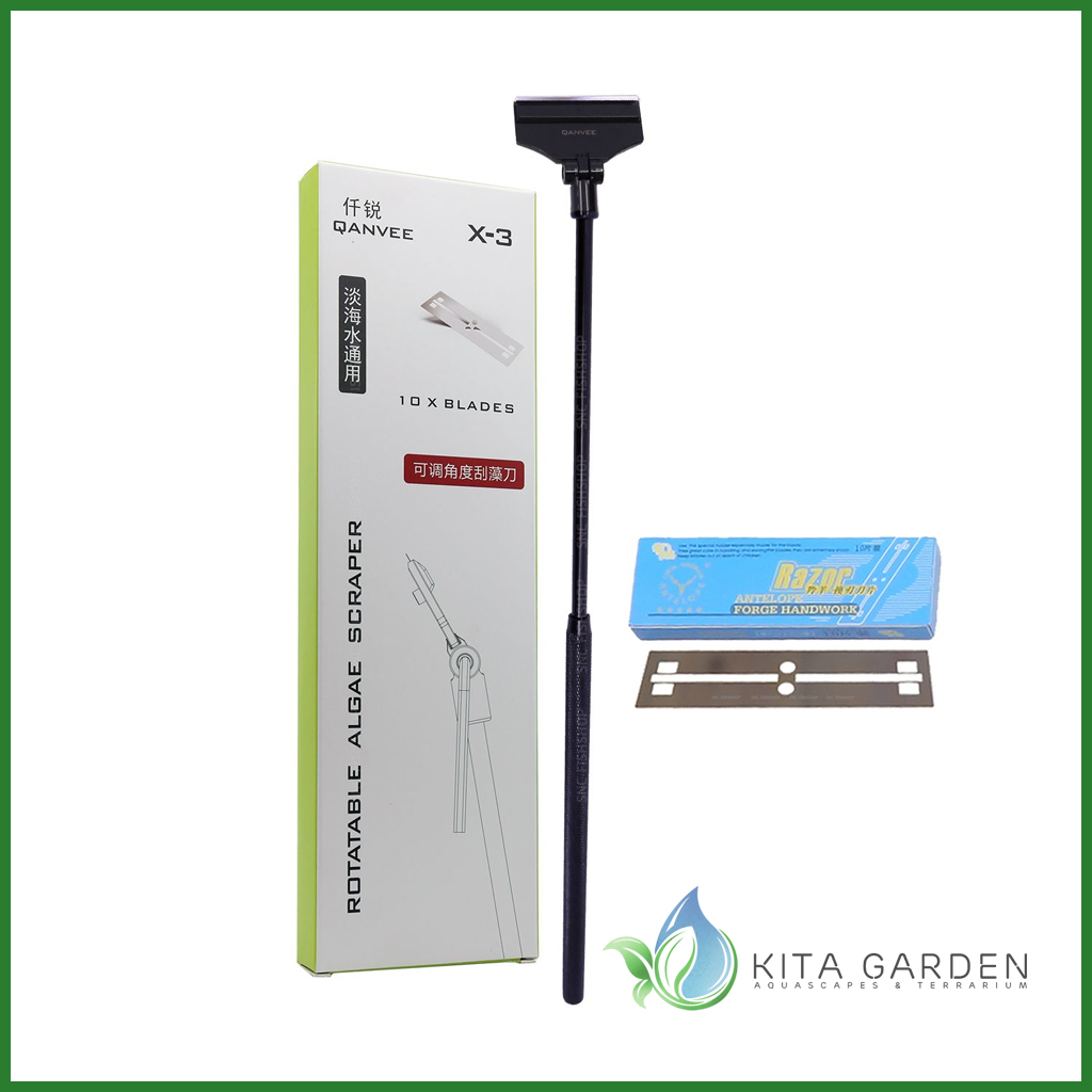 Dao cạo rêu qanvee x-3