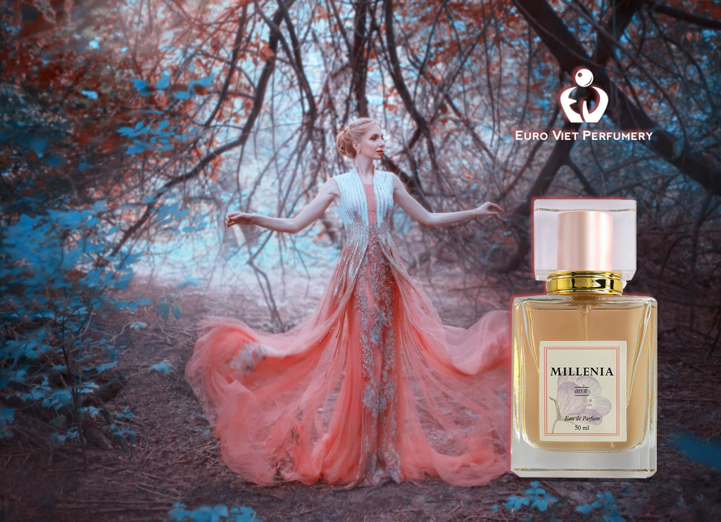 Nước hoa millenia 005w: nguồn gốc hương từ burberry london.