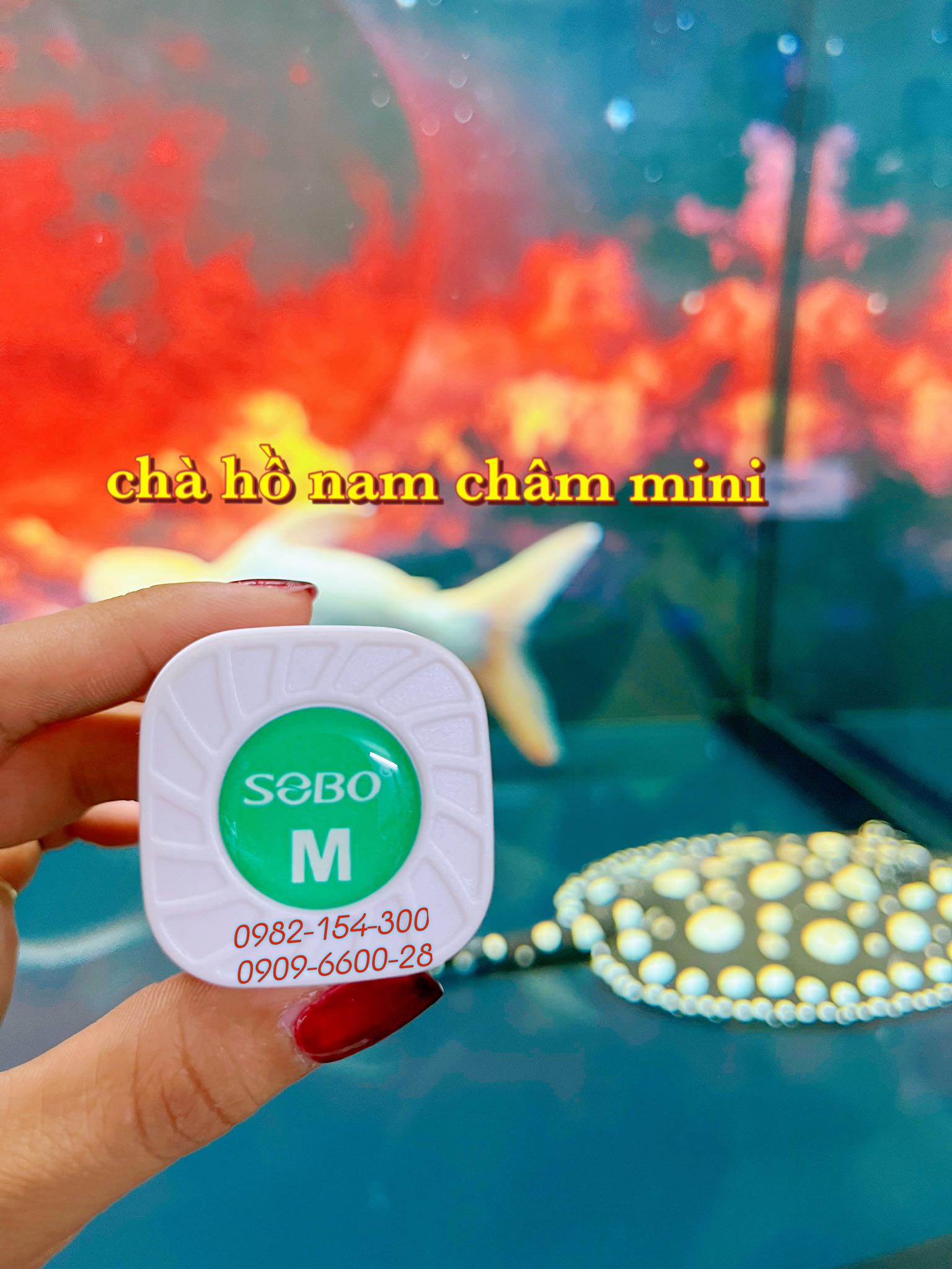 Lau kính nam châm vipsun vs102 / vs103 / vs104 - dụng cụ vệ sinh hồ cá bể cá