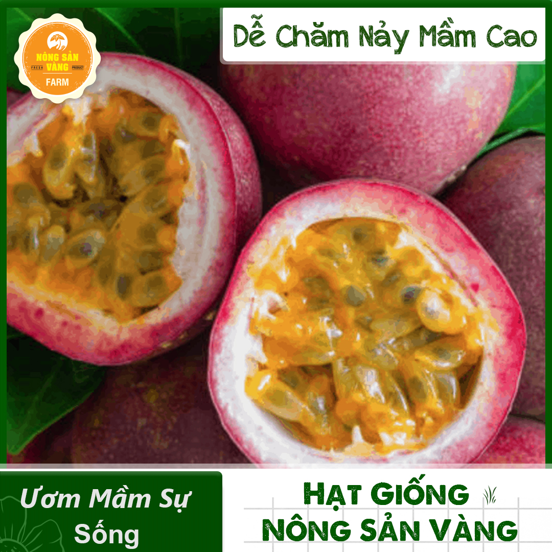 Hạt giống Chanh Dây, Loại Trái Cây Nhiệt Đới, Rất Giàu Dinh Dưỡng, Dễ Chế Biến Thành Nước Giải Khát (Gói 50 Hạt) - Nông Sản Vàng