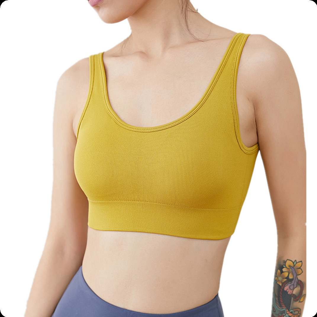 Áo Bra Nữ Tập Gym Yoga Khoét Lưng Chữ V Thể Thao Co Giãn 4 Chiều Che Mỡ Thừa - Hi Sport