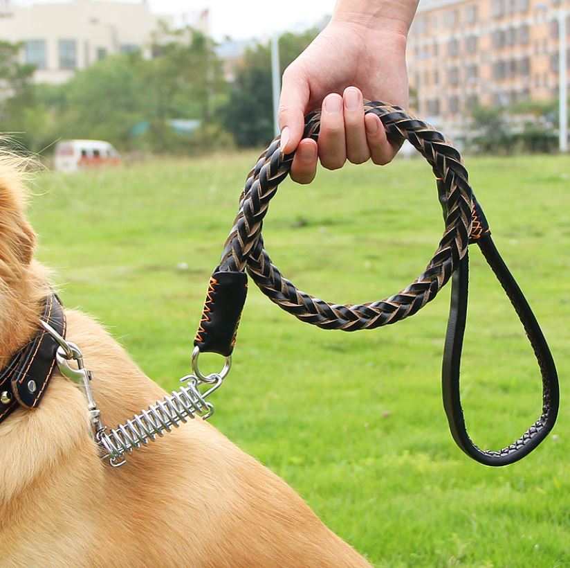 Dây dắt chó đi dạo bằng da đan chéo -chốt khóa bằng lò xo cao cấp