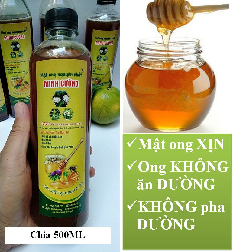 500ml Mật ong nguyên chất hoa cà phê Tây Nguyên mật ong Minh Cường Đăk Lăk