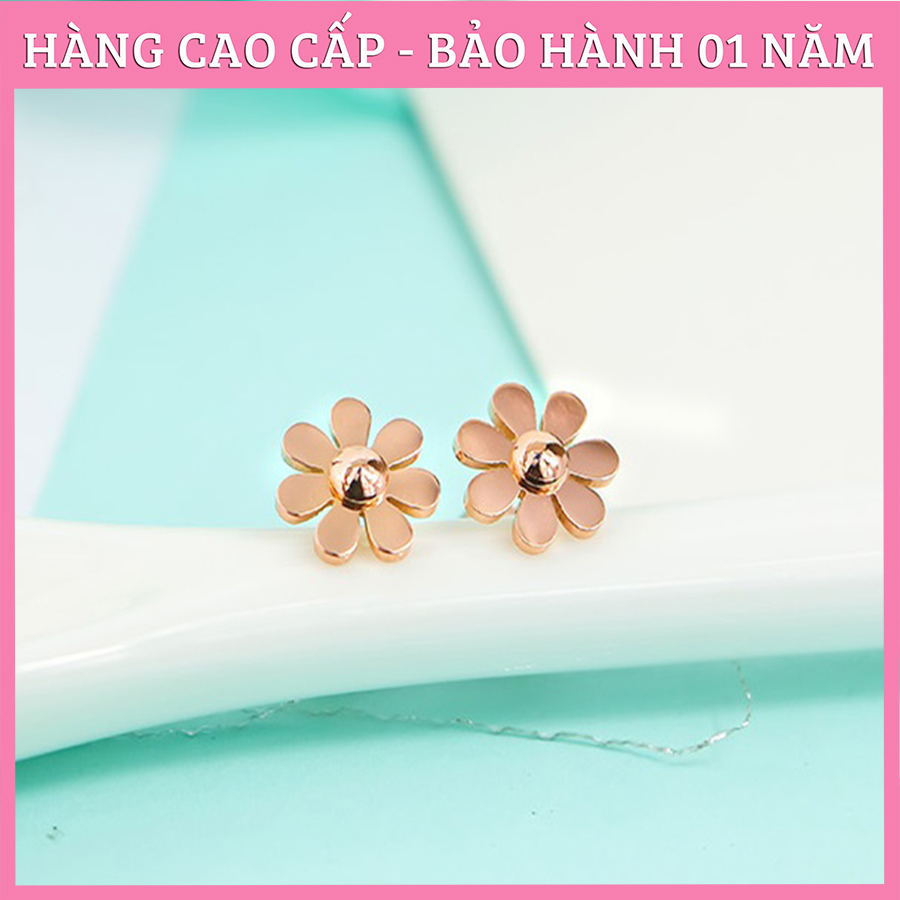 Bông tai nữ, hoa tai titan cúc họa mi