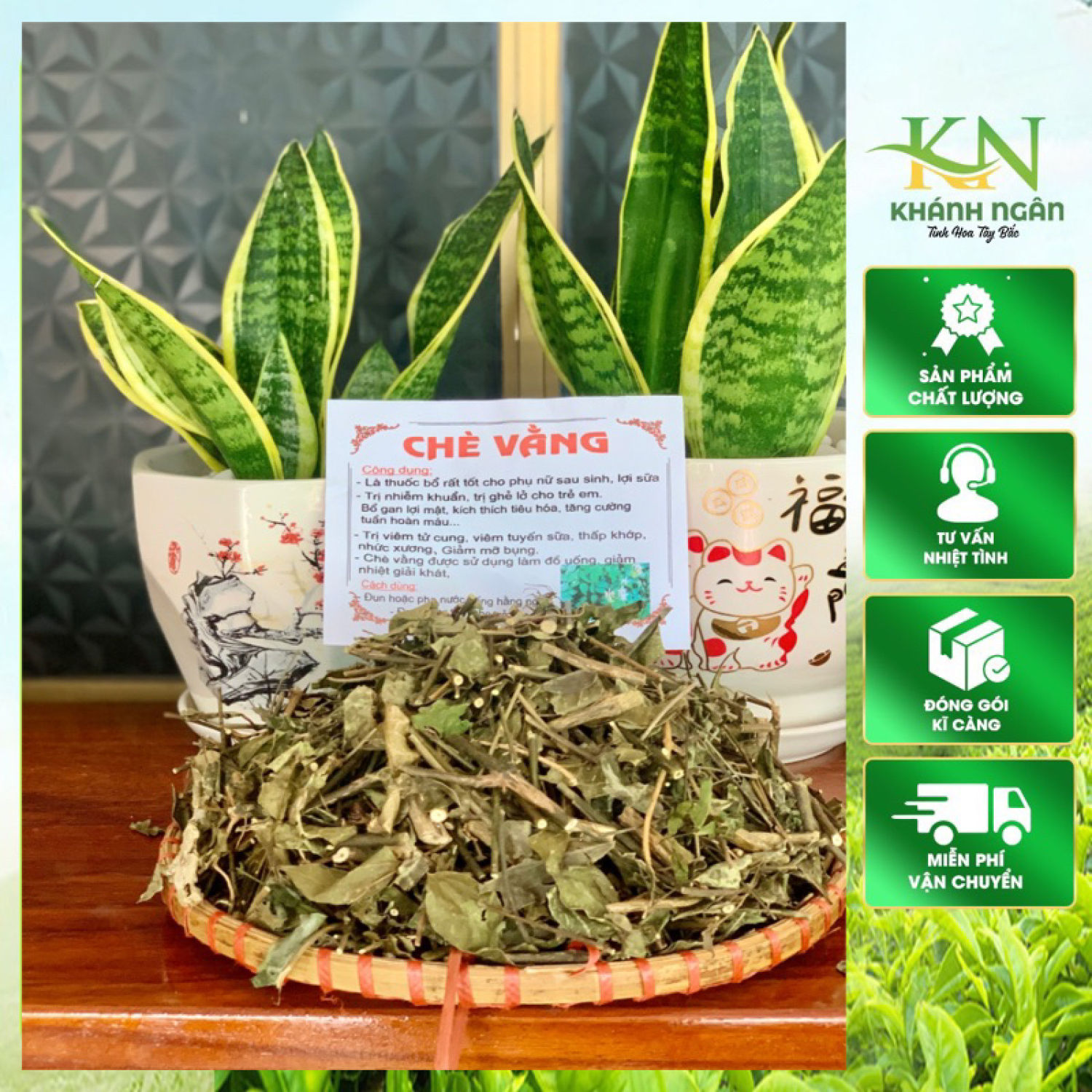 Chè vằng lá sẻ khô đã sao vàng hạ thổ . Cao chè vằng, cây chè vằng, lá chè vằng lợi sữa túi lọc lợi sữa giảm cân