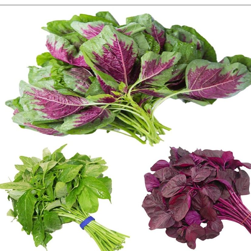 Hạt Giống Dền Tía, Dền Gai, Dền Cơm. Tên Khoa Học: Amaranthus Sp. Họ Khoa Học: Thuộc Họ Rau Dền - Amaranthaceae
