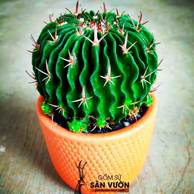 Combo 10 chậu gốm đất nung kiểu trứng da rắn size 8cm lpcn09 - màu gốm đỏ , chậu trồng cây, gốm sứ sân vườn bình dương