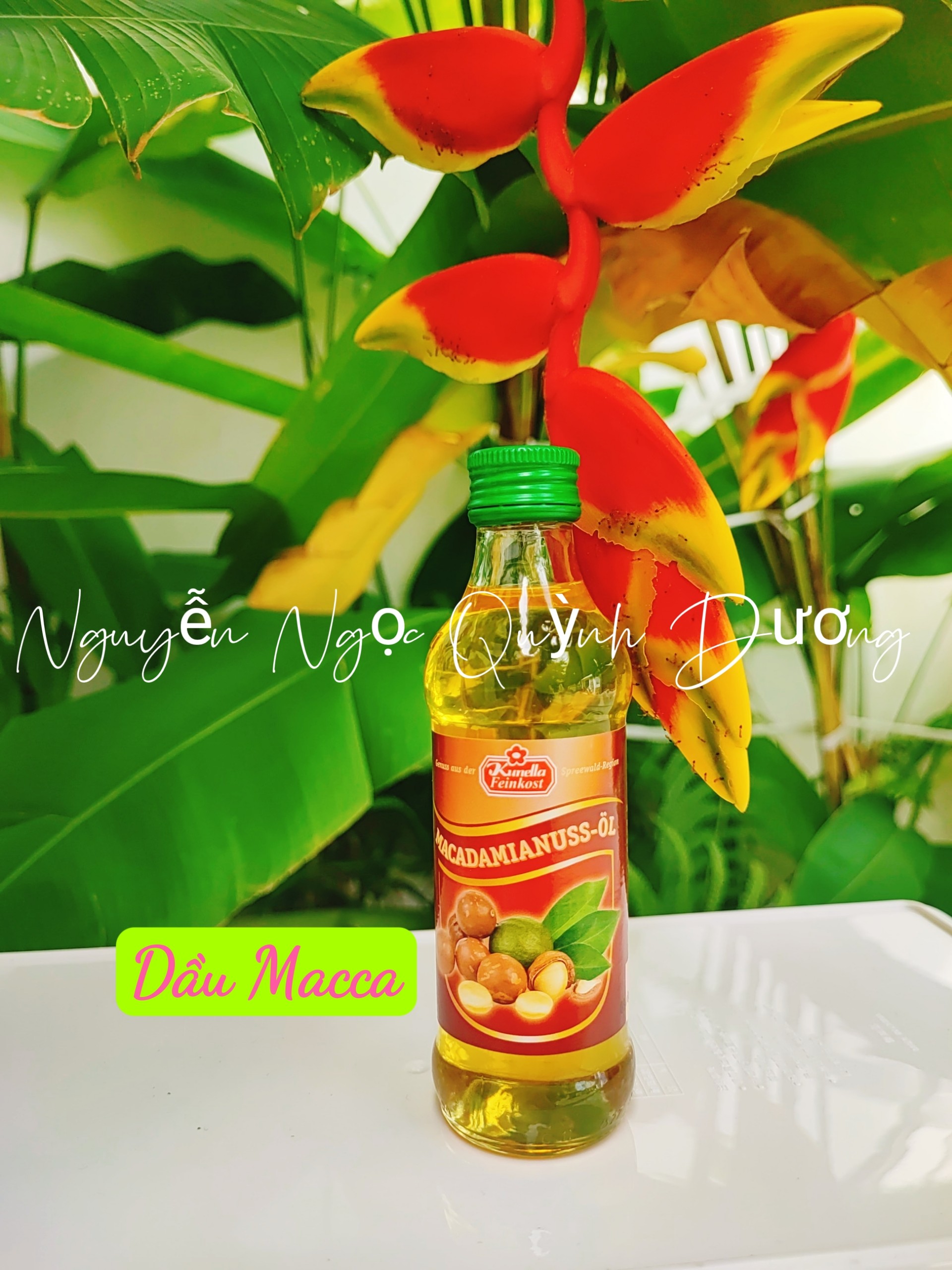 Dầu macca cho bé ăn dặm 100ml - shoplam