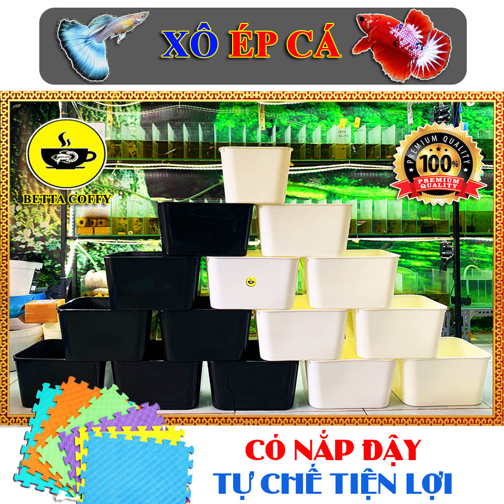 Thùng Nhựa Nuôi Cá tròn xô vuông khây chữ nhật ép đẻ Betta - Guppy