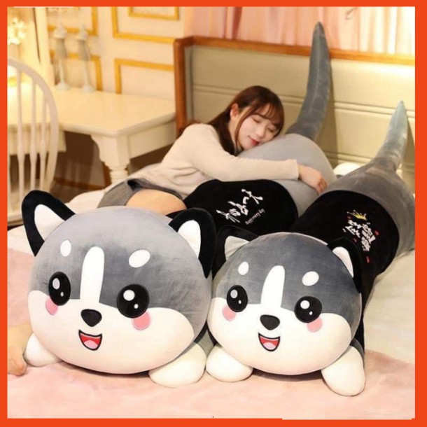Gấu Bông Lớn Mèo Husky Cute Khổng Lồ Kích Thước Có 2 Size ,Thú Nhồi Bông Mèo Xám Chất Vải Co Giãn 4 Chiều Dễ Thương Mềm Mịn