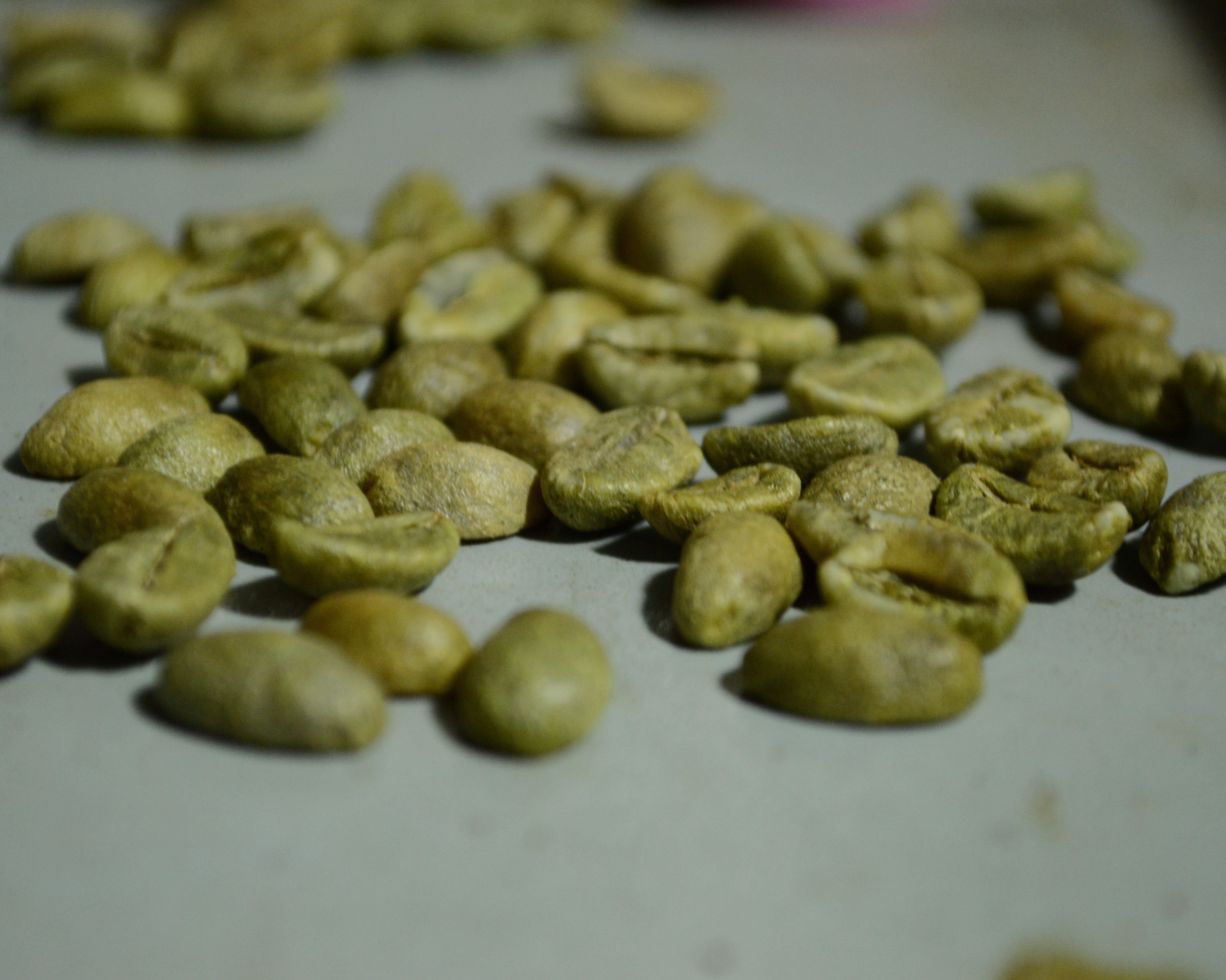 cà phê nhân chưa rang(green bean)