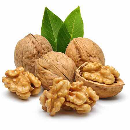 1kg óc chó to nhân mẩy k kèm kìm - 1kgoc