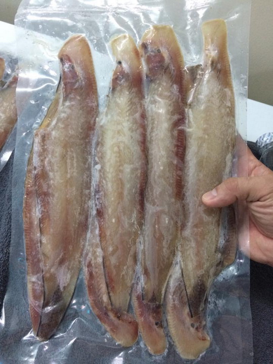 Cá lưỡi trâu, khô cá lưỡi trâu đặc sản Cà Mau thịt thơm, béo hàm lượng đạm cao- Túi hút chân không 1KG