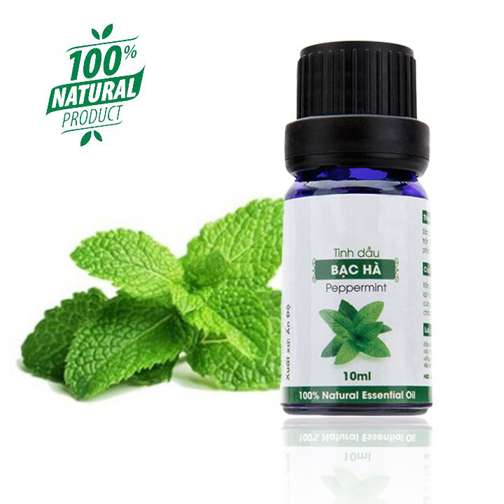 Tinh dầu bạc hà nguyên chất thiên nhiên lọ 10ml