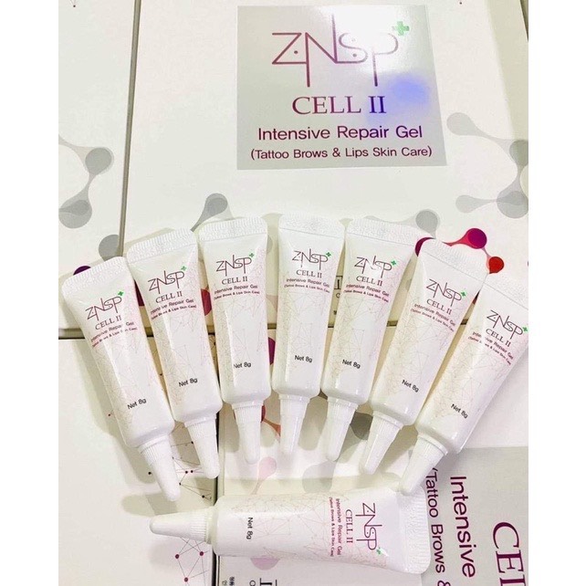 Tế bào gốc znsp cell 3