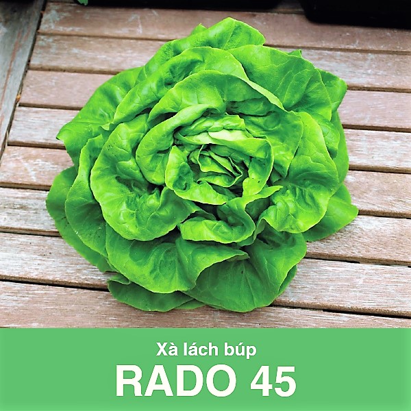 Gói 2gram xà lách búp Rado45 ăn ngon dễ trồng .