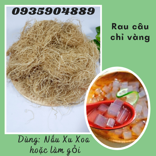300gr rong câu chỉ vàng dùng làm xu xoa/làm gỏi - rong biển tóc tiên - rau câu chỉ vàng