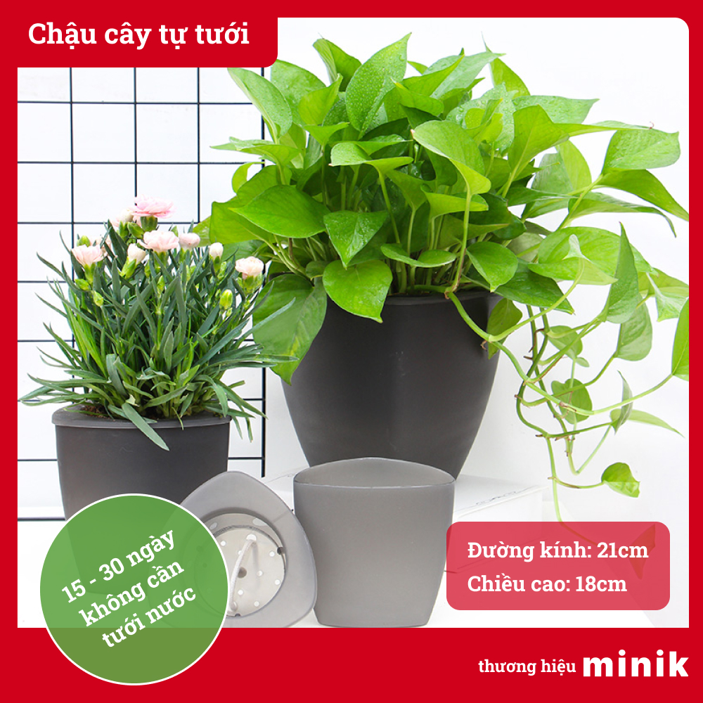 Chậu trồng cây tự dưỡng MINIK, hình tam giác màu xám, chậu thông minh tự tưới, 14 - 21 ngày không cần tưới cây, kích thước chậu 21cm x 18cm (đường kính x chiều cao)