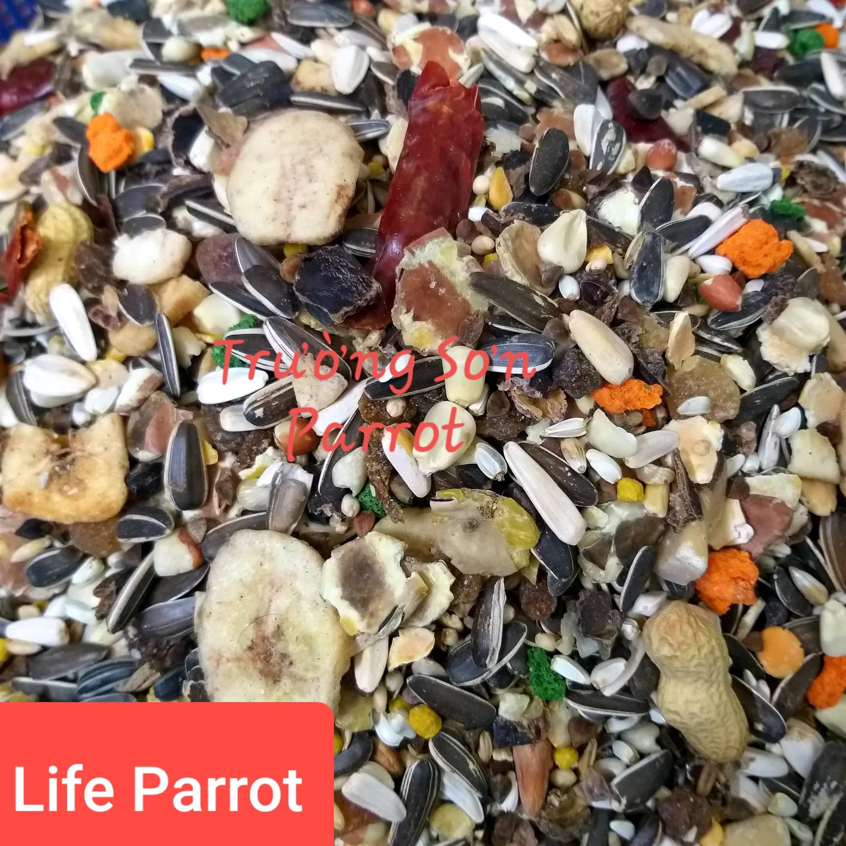 Hạt trộn cho vẹt manitoba parrots life gói lẻ 1kg