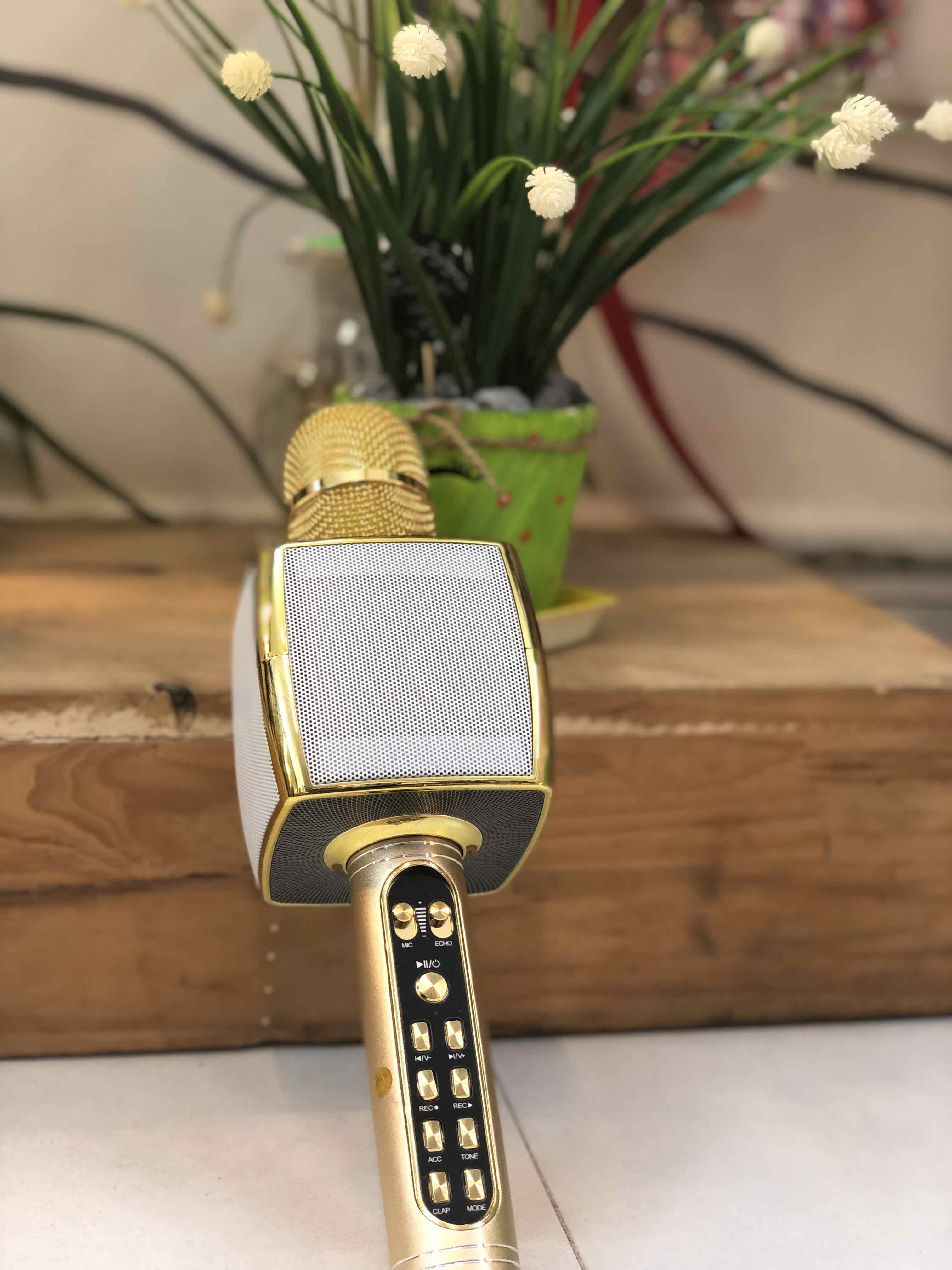 Mic Karaoke Kèm Loa Ys 91 - Mic Karaoke Kèm Loa Ys 91