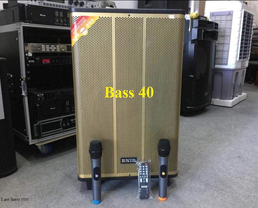 Loa kéo di động loa karaoke bass 40 hát cực hay, công suất lớn, 2 mic kim loại UHF. Hát karaoke, nghe nhạc cực hay. BH 1 năm