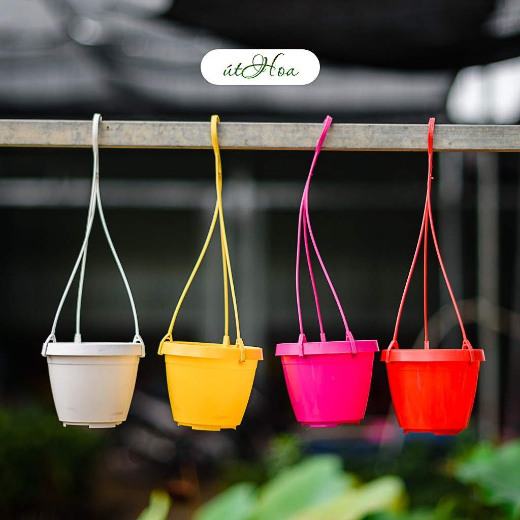 Chậu Treo Mini Trơn Nhiều Màu (Chọn Màu, Kèm Dây Treo)