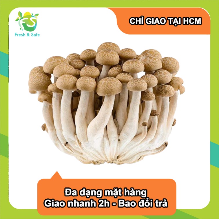 [Chỉ Giao HCM] Nấm linh chi nâu - 5 gói (sỉ)