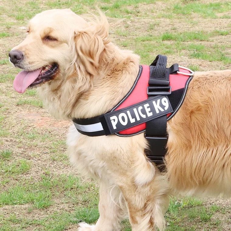 Đai lưng, dây yếm dắt chó logo police K9 Đai lưng