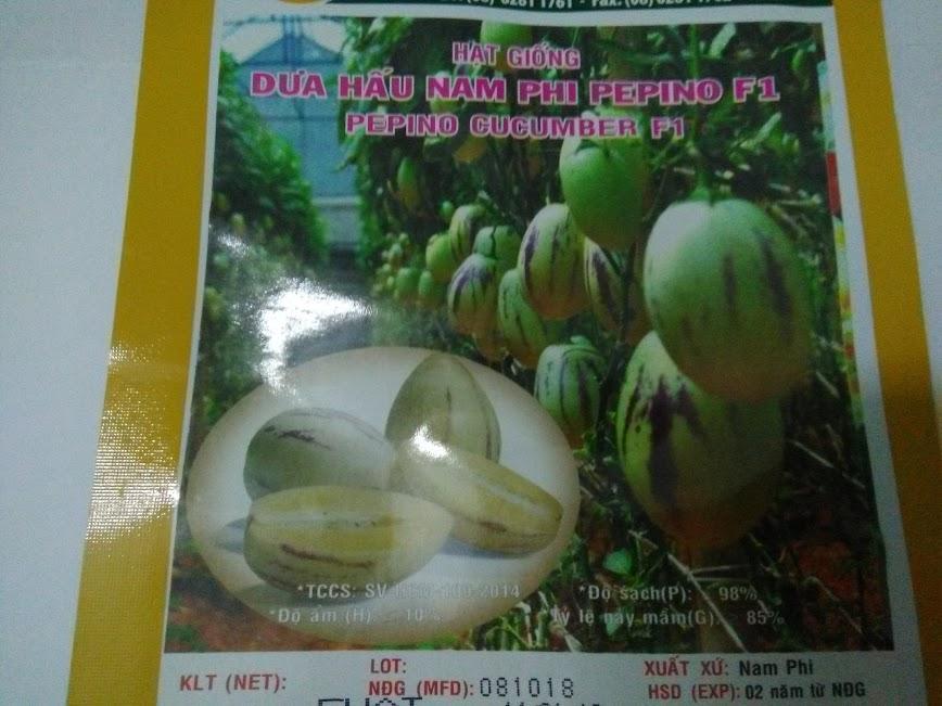 Hạt giống dưa peppino