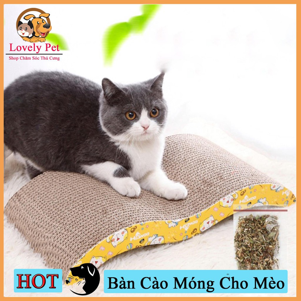 Bàn cào móng cho mèo giấy hình gợn sóng KÈM Catnip