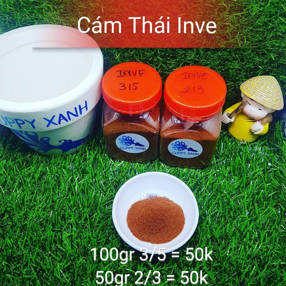 Cám thái Inve 2/3 cho cá con mới nở - thức ăn cho cá bột - Guppy Xanh 100gr cam kết hàng đúng mô tả chất lượng đảm bảo