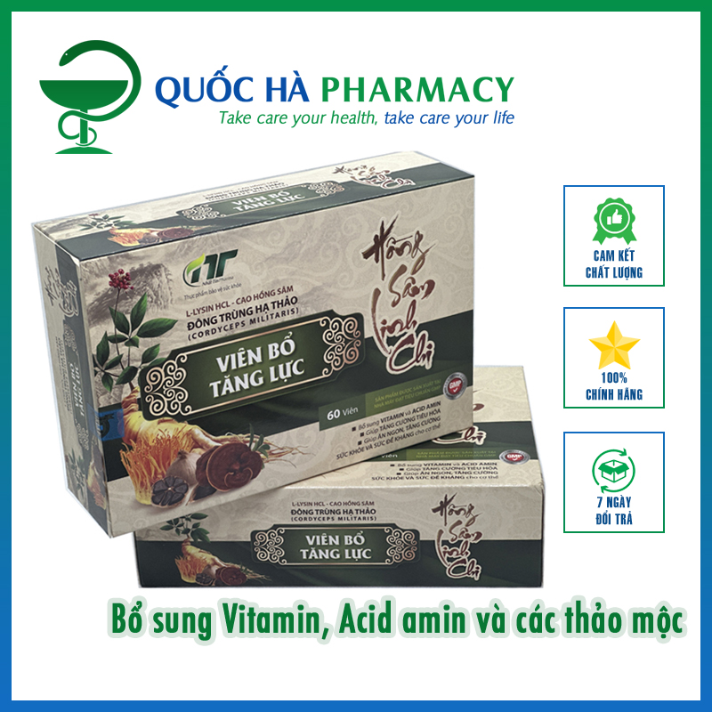 Viên bổ tăng lực Hồng Sâm Linh Chi (Hộp 60 viên) - Quốc Hà Pharmacy