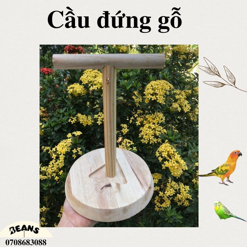 Cầu đứng gỗ cho chim, vẹt 17x24cm