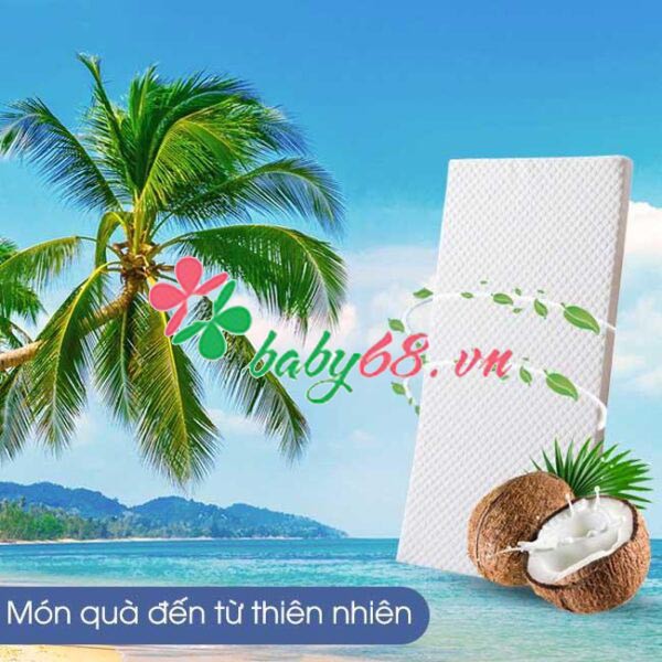 Nệm xơ dừa tự nhiên thoáng khí Chilux kèm ga