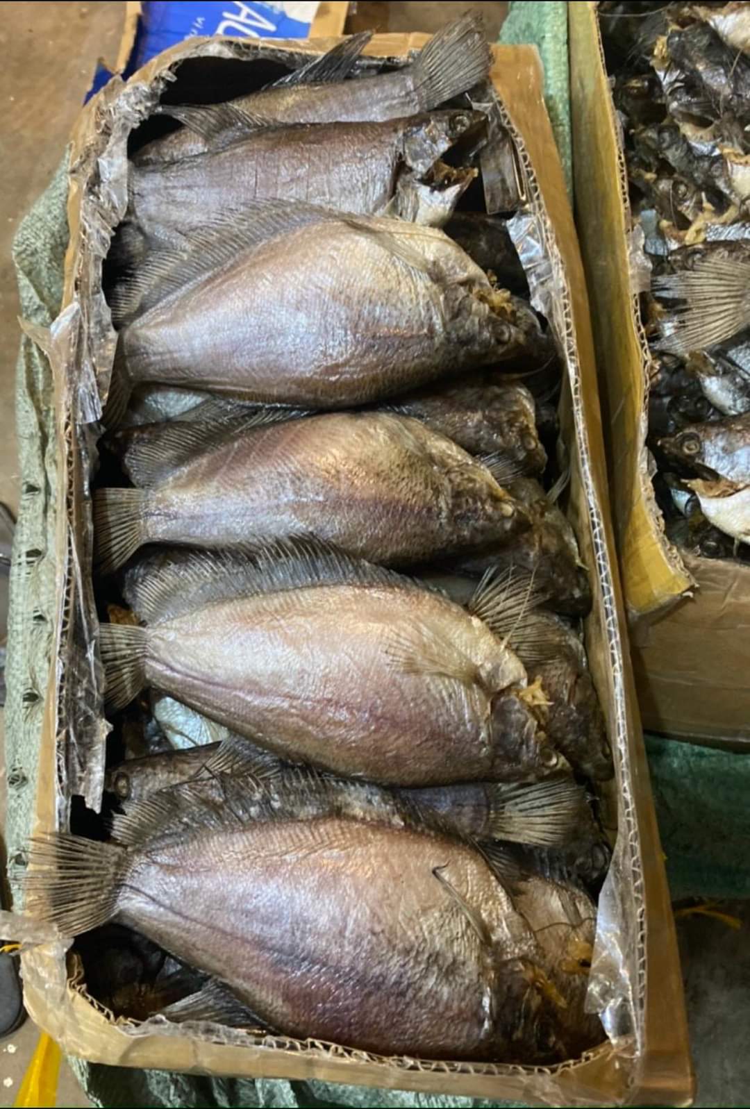 1KG khô cá sặc 3 nắng hàng tươi ngon chất lượng giá, giá cả phải chăng, khô ươp lạc vừa ăn, khô làm 100% cá tươi  ngọt từ thịt cá, cá làm vệ sinh sạch sẽ an toàn, không  màu thực phẩm, KHô Thoại Sơn