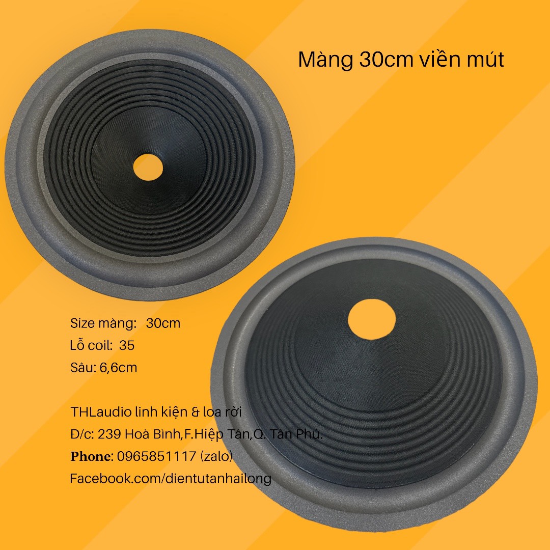 Màng loa 30cm viền mút