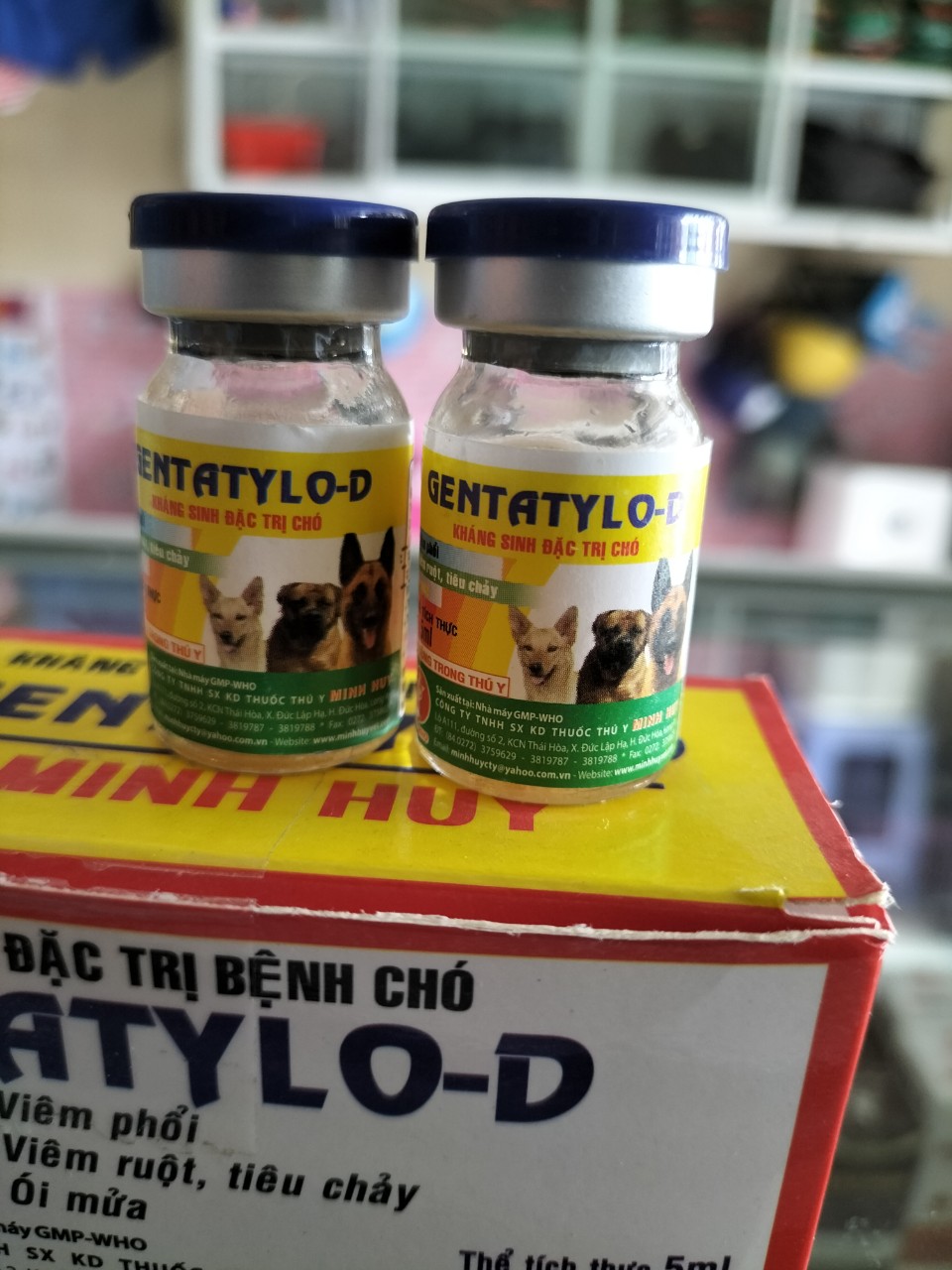 Kháng sinh chó mèo Genta Tylo D 5ml