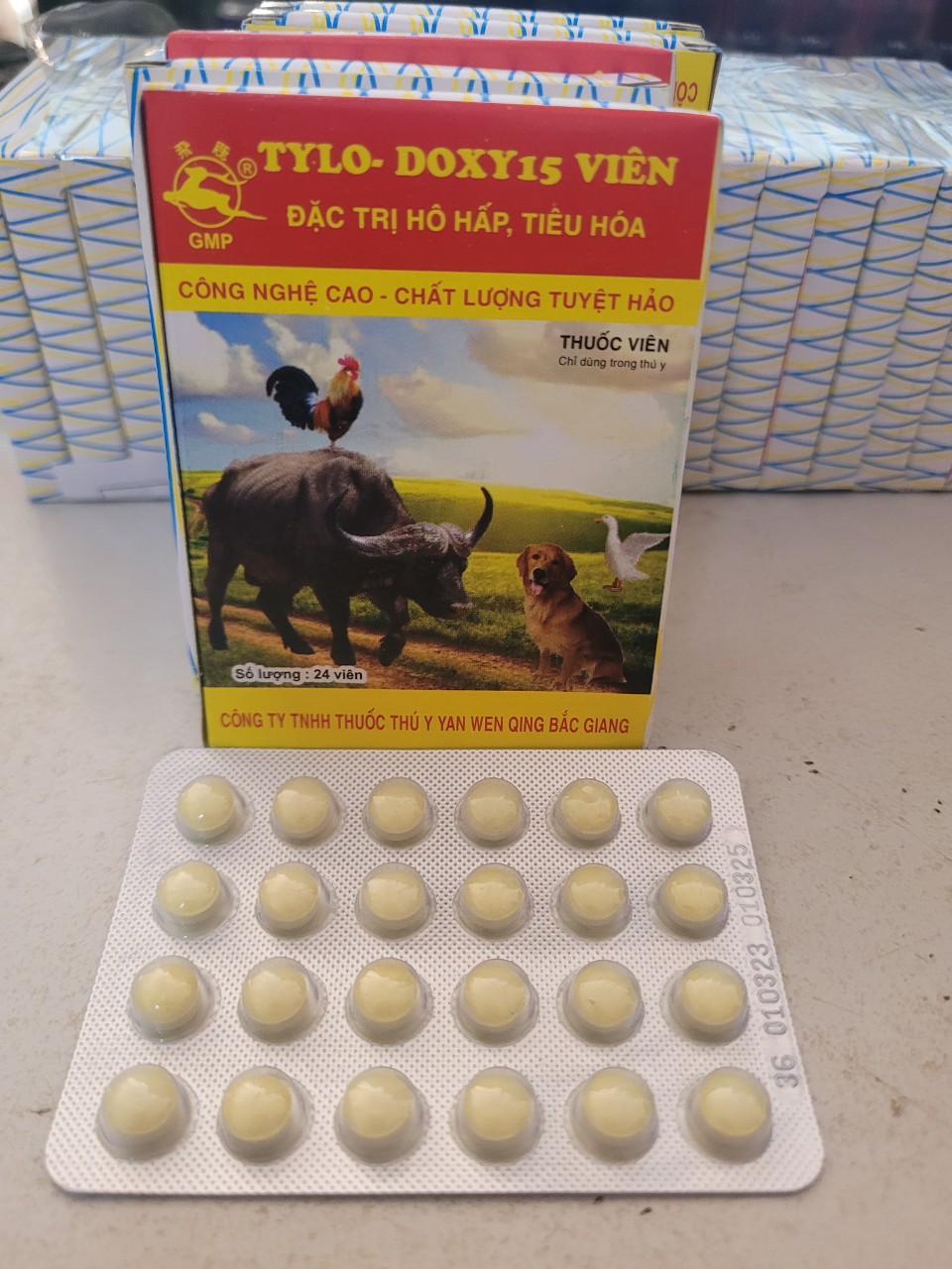 T.ylo -Do.cy dạng viên, vỉ 24 viên dung trong thú y