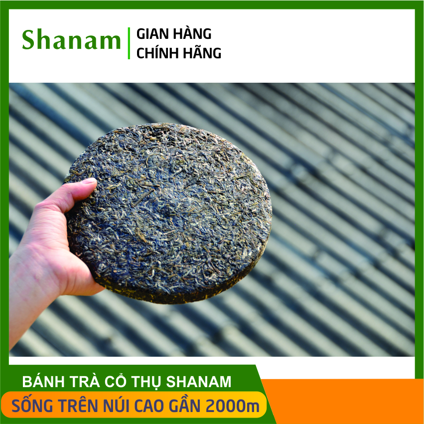 Bánh trà sống 300g, {năm 2019}. 1 tôm 2 lá, Trà shan tuyết {Shanam} cổ thụ, vùng trà Sùng đô cao hơn Suối Giàng. Cây chè cổ thụ trên 400 năm tuổi. TQ gọi là trà Phổ Nhĩ sống, phòng chống đột qụy, giảm cân an toàn, phòng ngừa ung thư