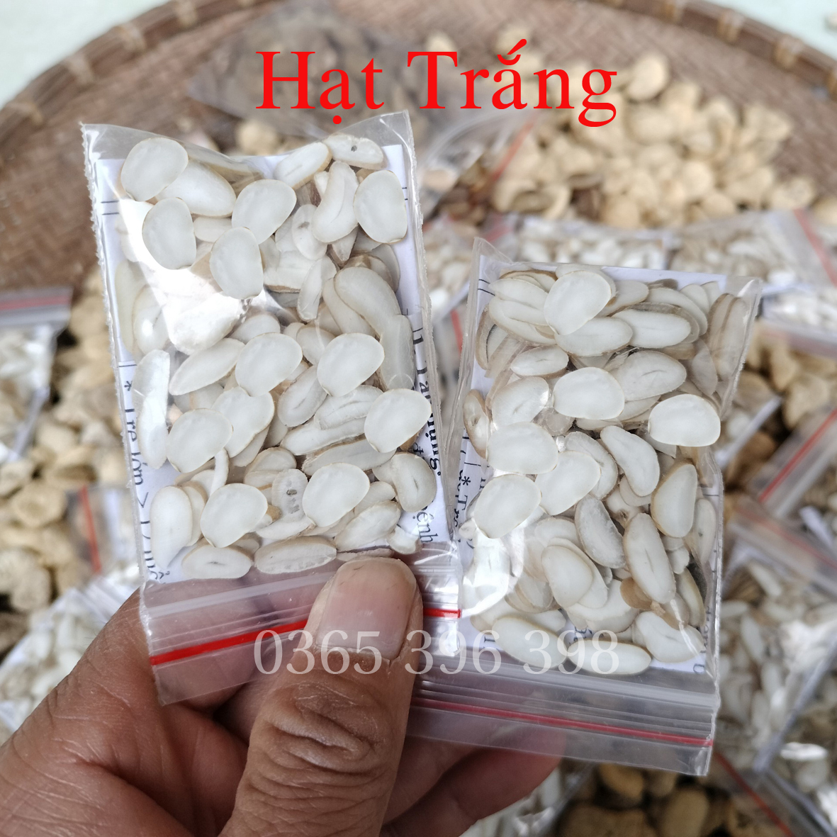 Hạt sang trắng đau dạ dày đại tràng 1 gói 13g giá sỉ